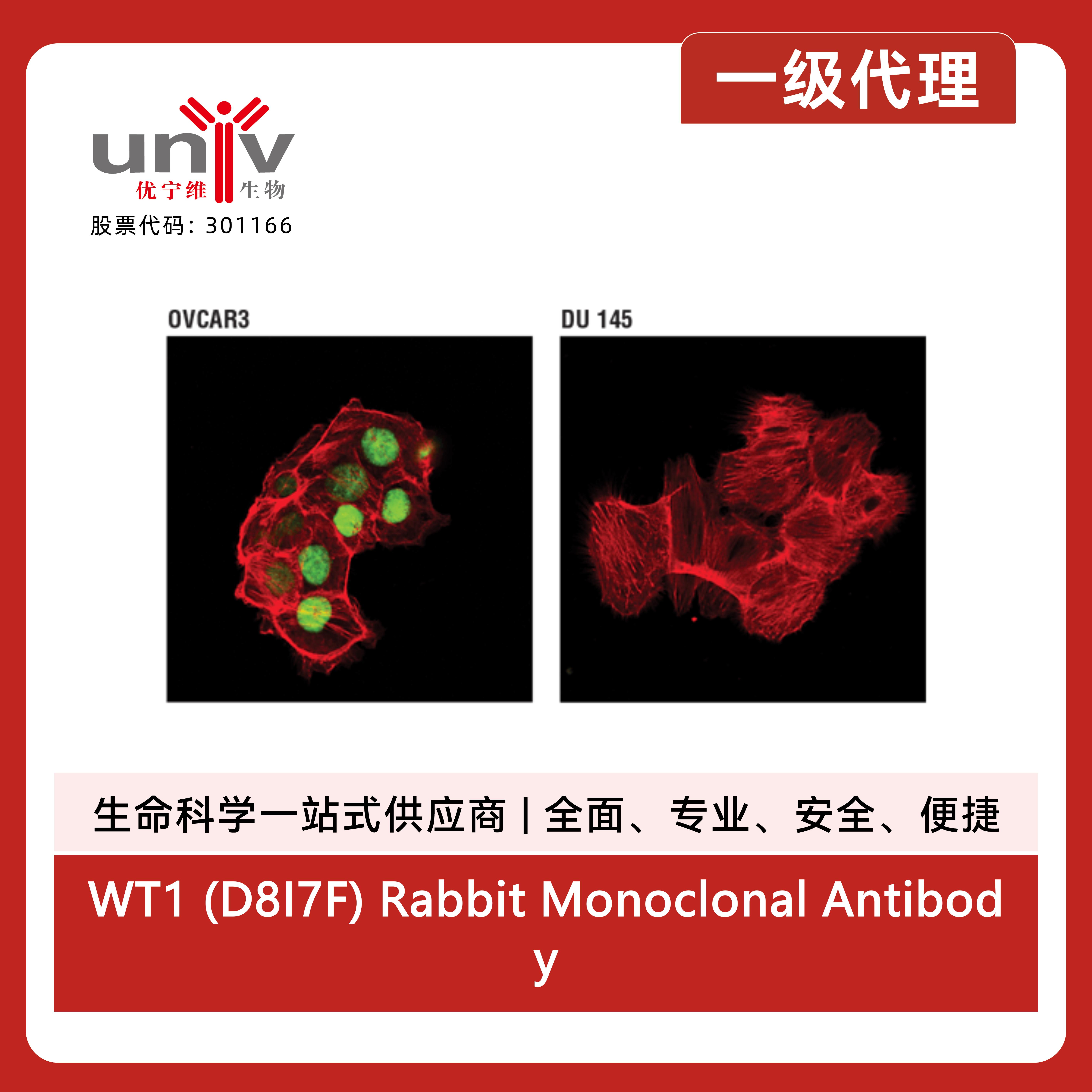 产品细节图片7