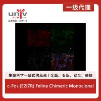 c-Fos (E2I7R) Feline Chimeric Monoclonal Antibody