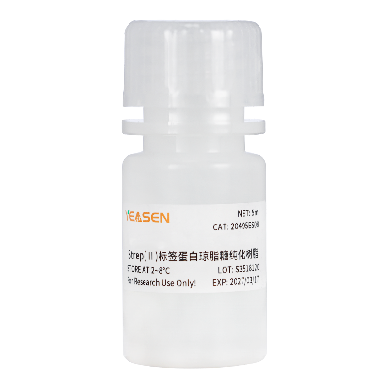 Strep(Ⅱ)标签蛋白琼脂糖纯化树脂