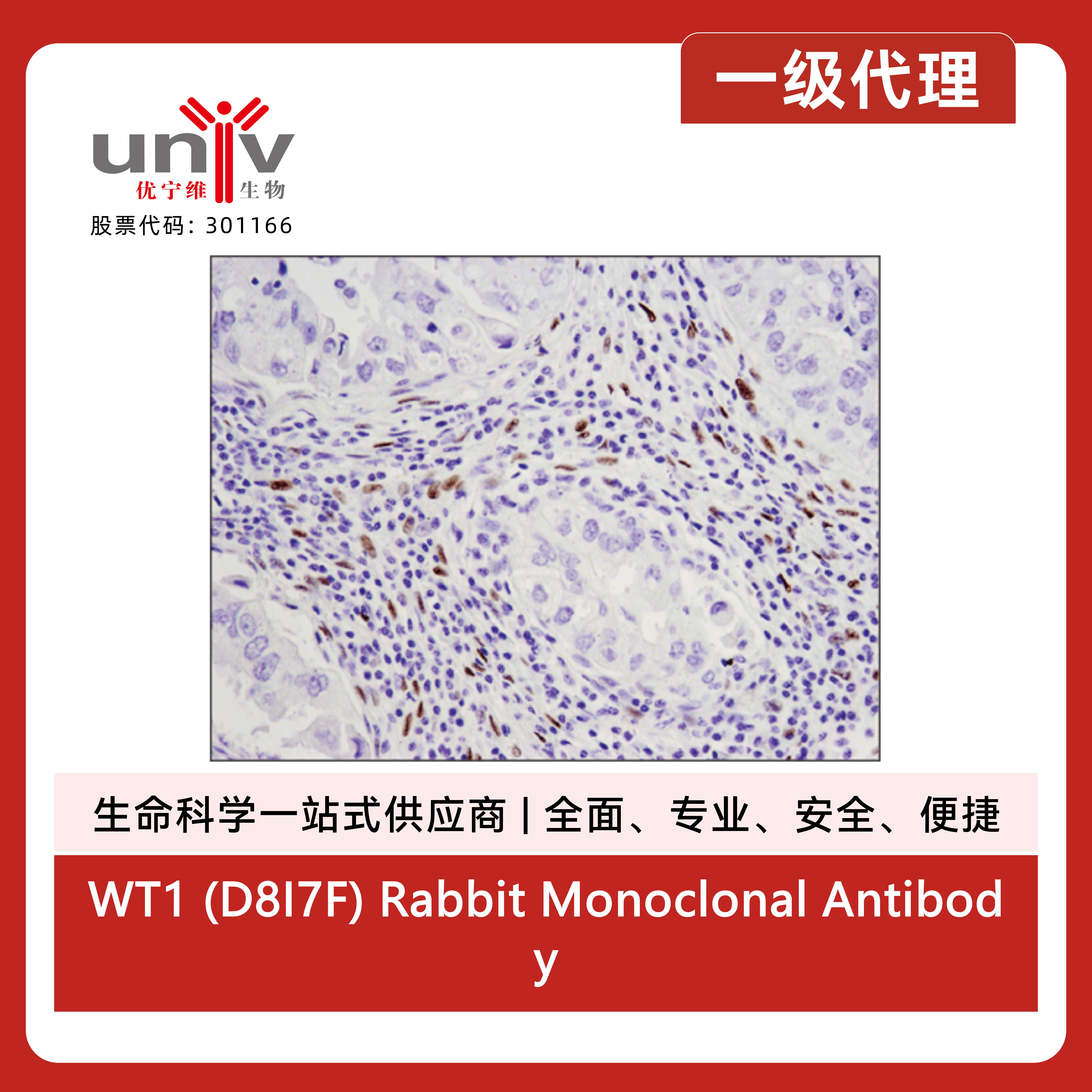 产品细节图片4