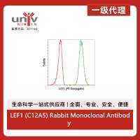 LEF1 (C12A5) Rabbit Monoclonal Antibody (PE Conjugate)
