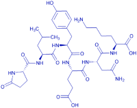 Neurotensin (1-6)