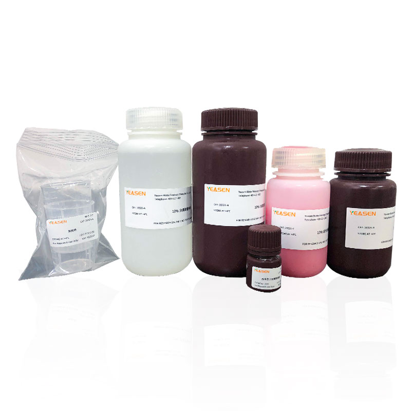 PAGE凝胶快速制备试剂盒(8%）PAGE Gel Quick Preparation Kit[可申请试用]