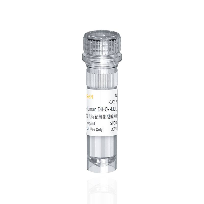 Human DiI-Ox-LDL 人源氧化型低密度脂蛋白(红色荧光标记)产品图