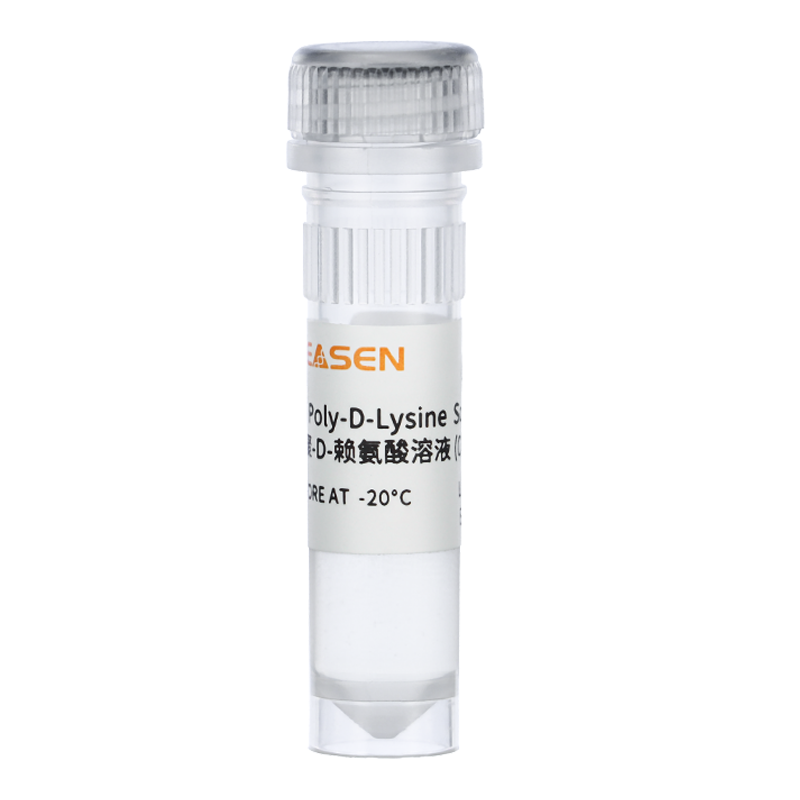 多聚-D-赖氨酸溶液(0.1 mg/mL)