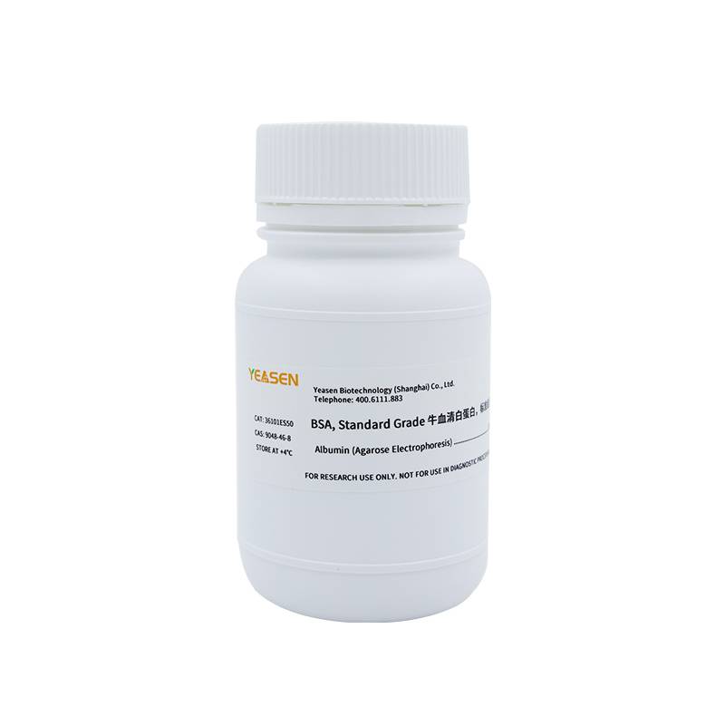 BSA牛血清白蛋白 Bovine Serum Albumin 标准级