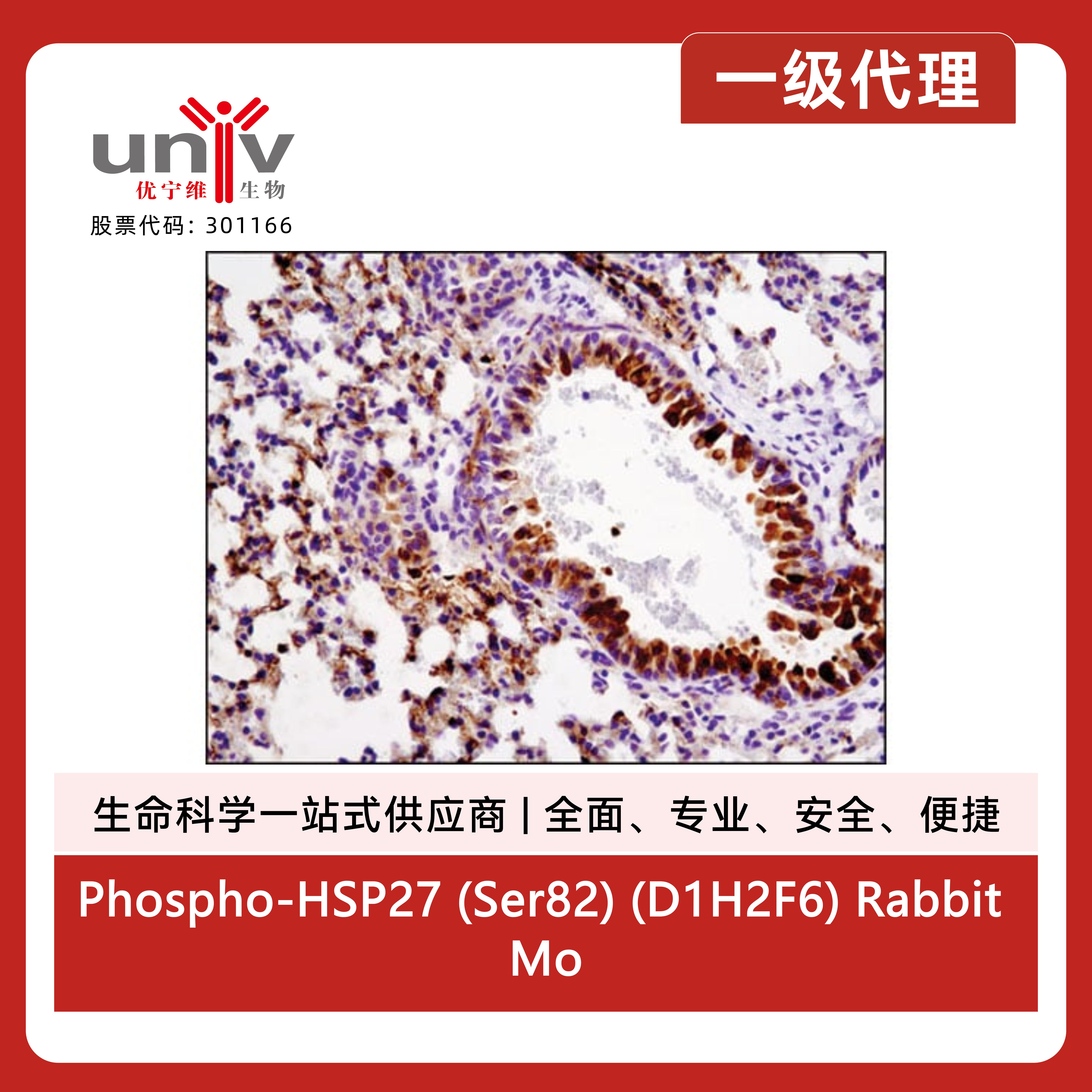 产品细节图片3