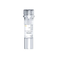 Puromycin 嘌呤霉素盐酸盐溶液(10mg/mL)
