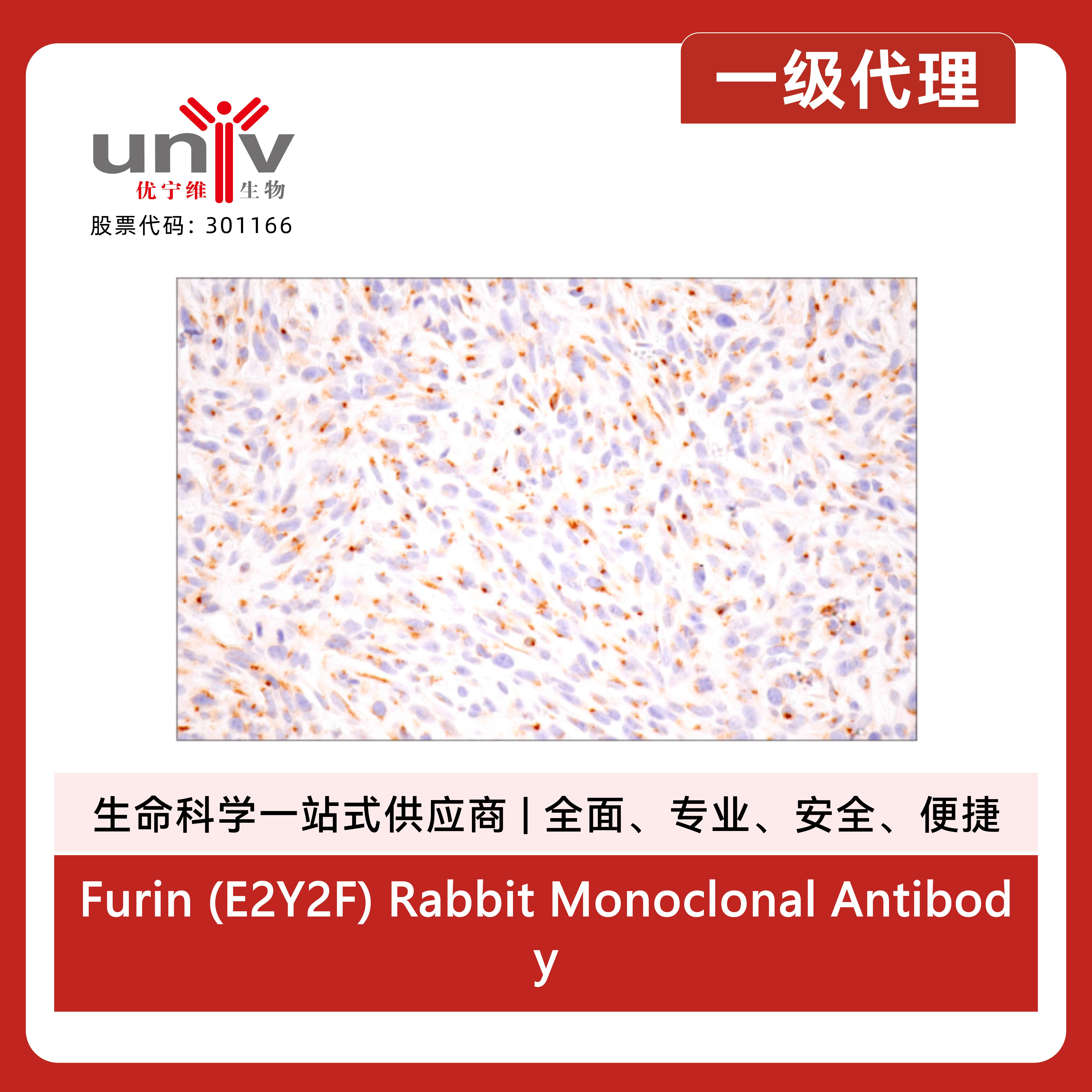 产品细节图片9