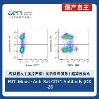 FITC Mouse Anti-Rat CD71 Antibody (OX-26)