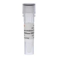Murine RNase Inhibitor(200 U/μL) 10603的高浓度版本