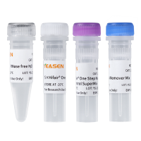 逆转录预混液(含gDNA污染去除) Hifair® V one-step RT-gDNA digestion SuperMix for qPCR