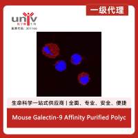 Mouse Galectin-9 Affinity Purified Polyclonal Ab (100 ug)