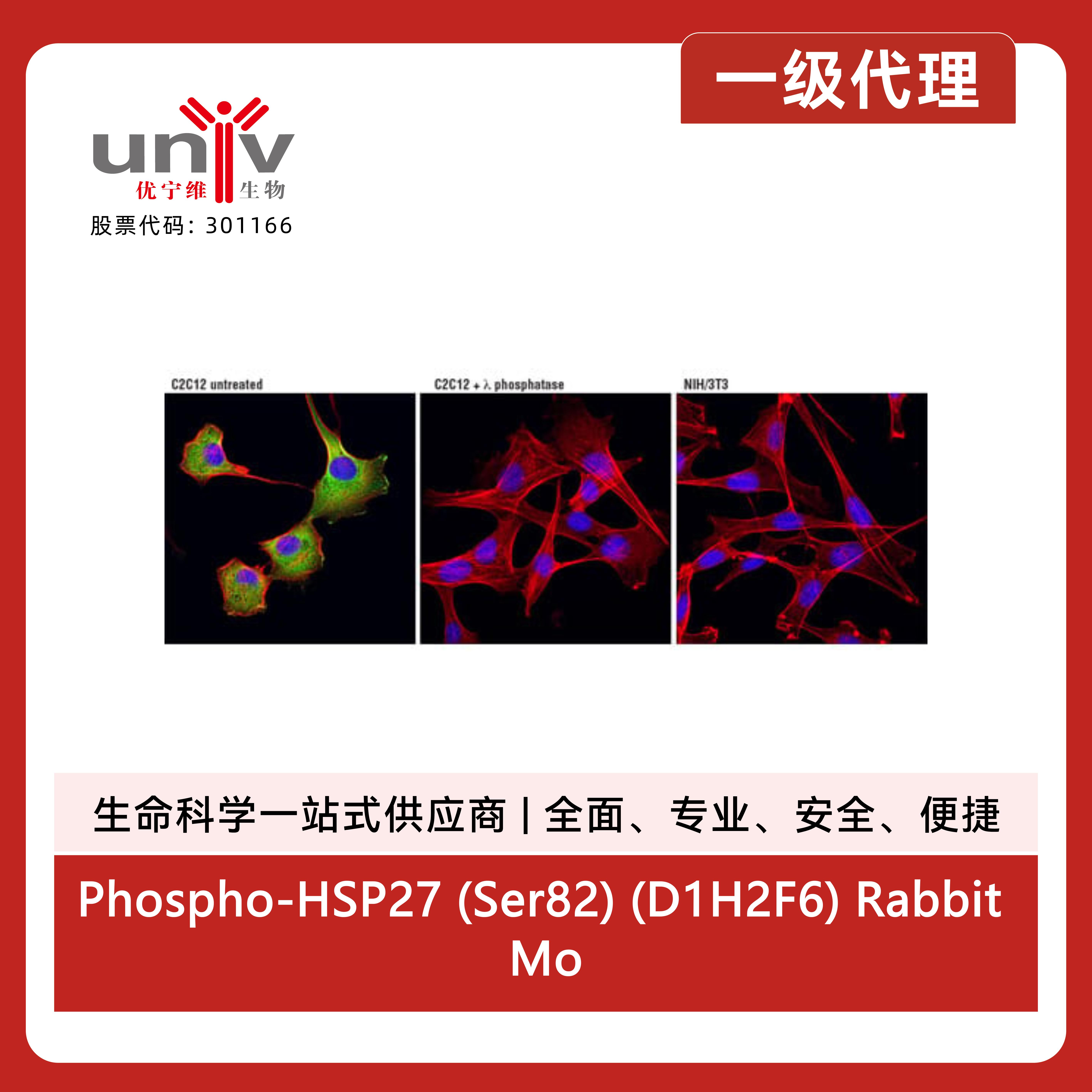 产品细节图片7