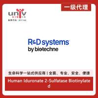 Human Iduronate 2-Sulfatase Biotinylated Affinity Pur PAb (50 ug)