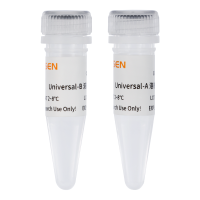 通用型转染试剂 Hieff Trans® Universal Transfection Reagent