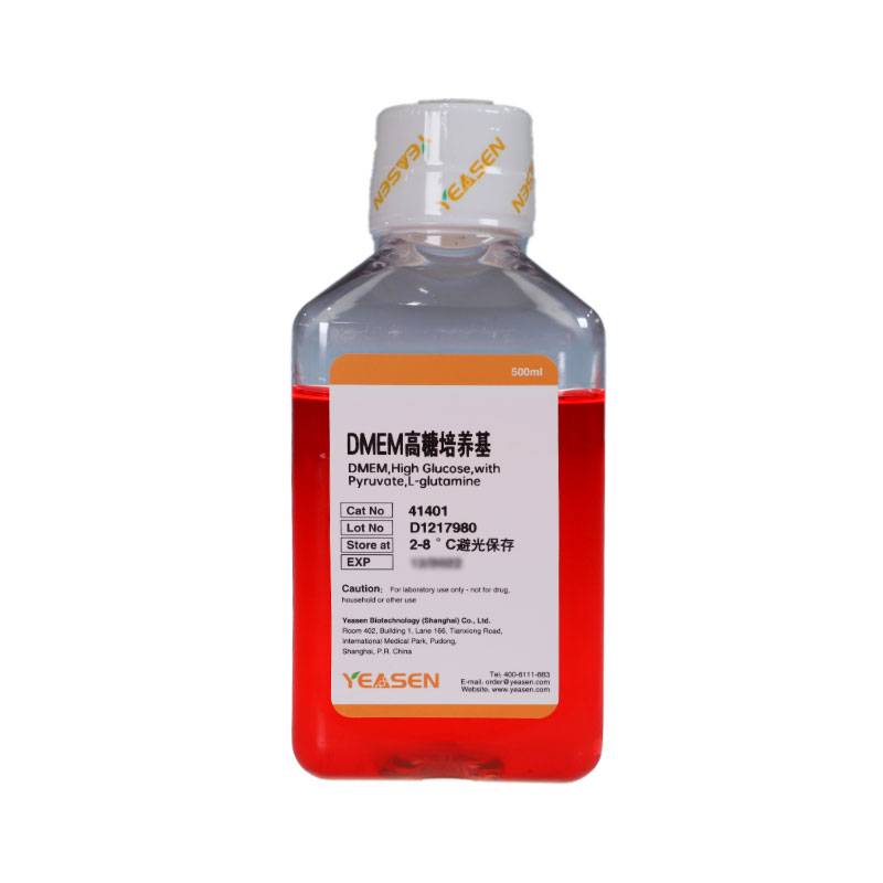 DMEM高糖培养基(含L-谷氨酰胺 不含HEPES,双抗)