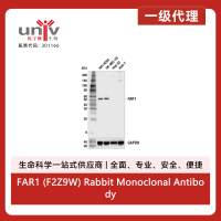 FAR1 (F2Z9W) Rabbit Monoclonal Antibody
