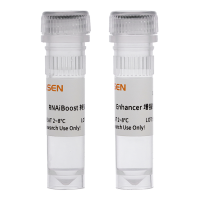 Hieff Trans®RNAiBoost Transfection Reagent转染试剂