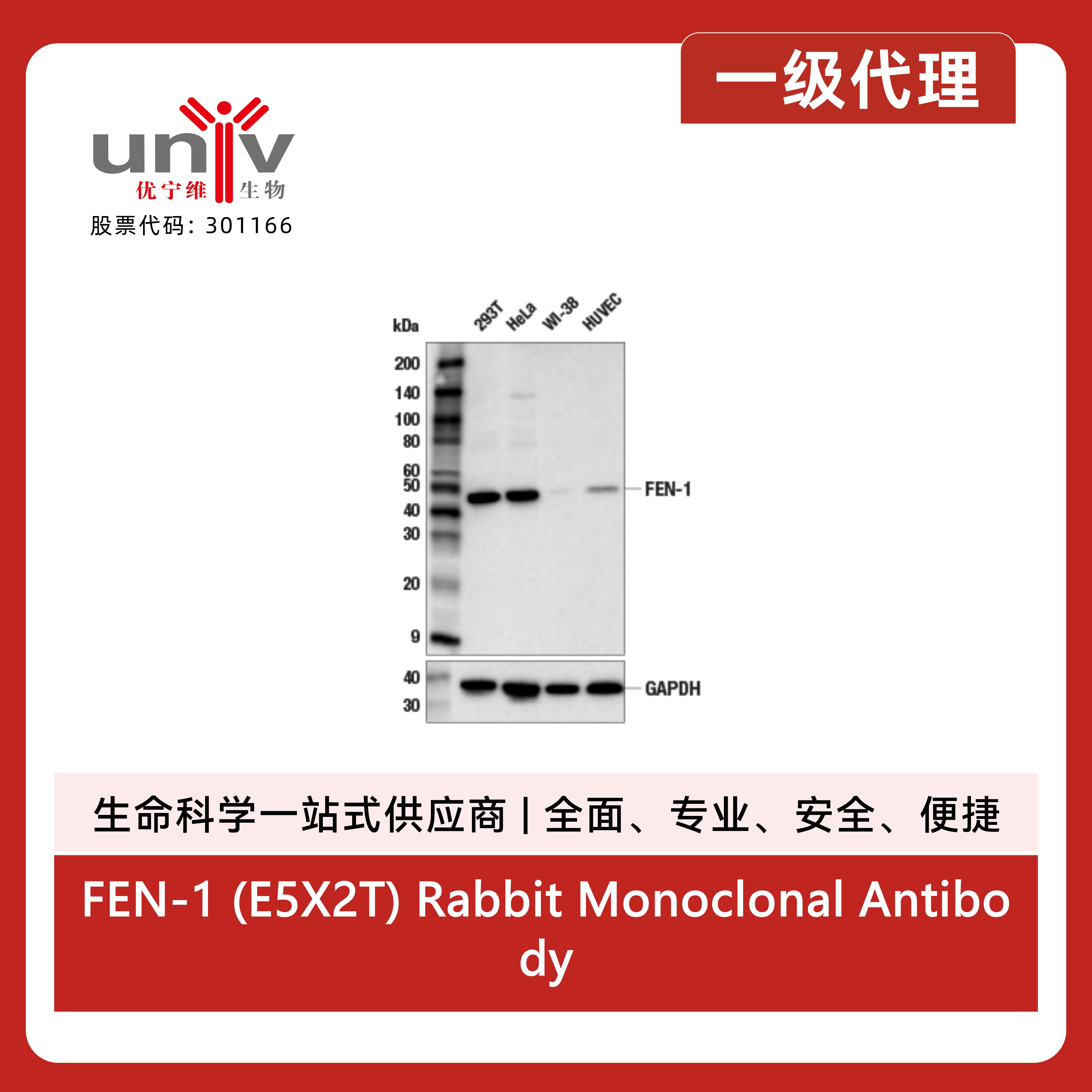 产品细节图片2