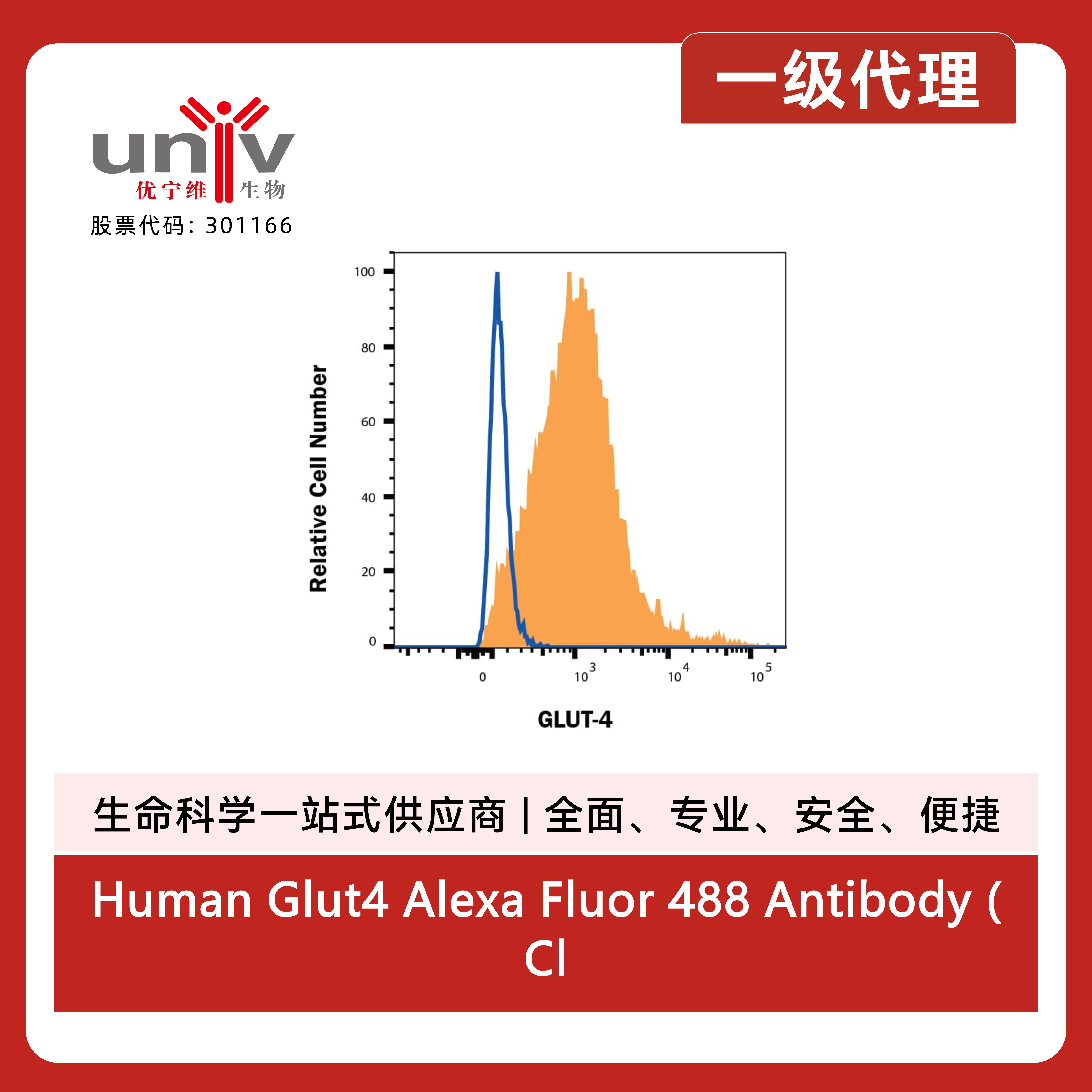 Human Glut4 Alexa Fluor 488 Antibody (Clone 925932) (100 UG)产品图