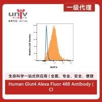 Human Glut4 Alexa Fluor 488 Antibody (Clone 925932) (100 UG)