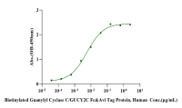 Recombinant Biotinylated Human Biotinylated Guanylyl Cyclase C/GUCY2C Fc&Avi Tag Protein