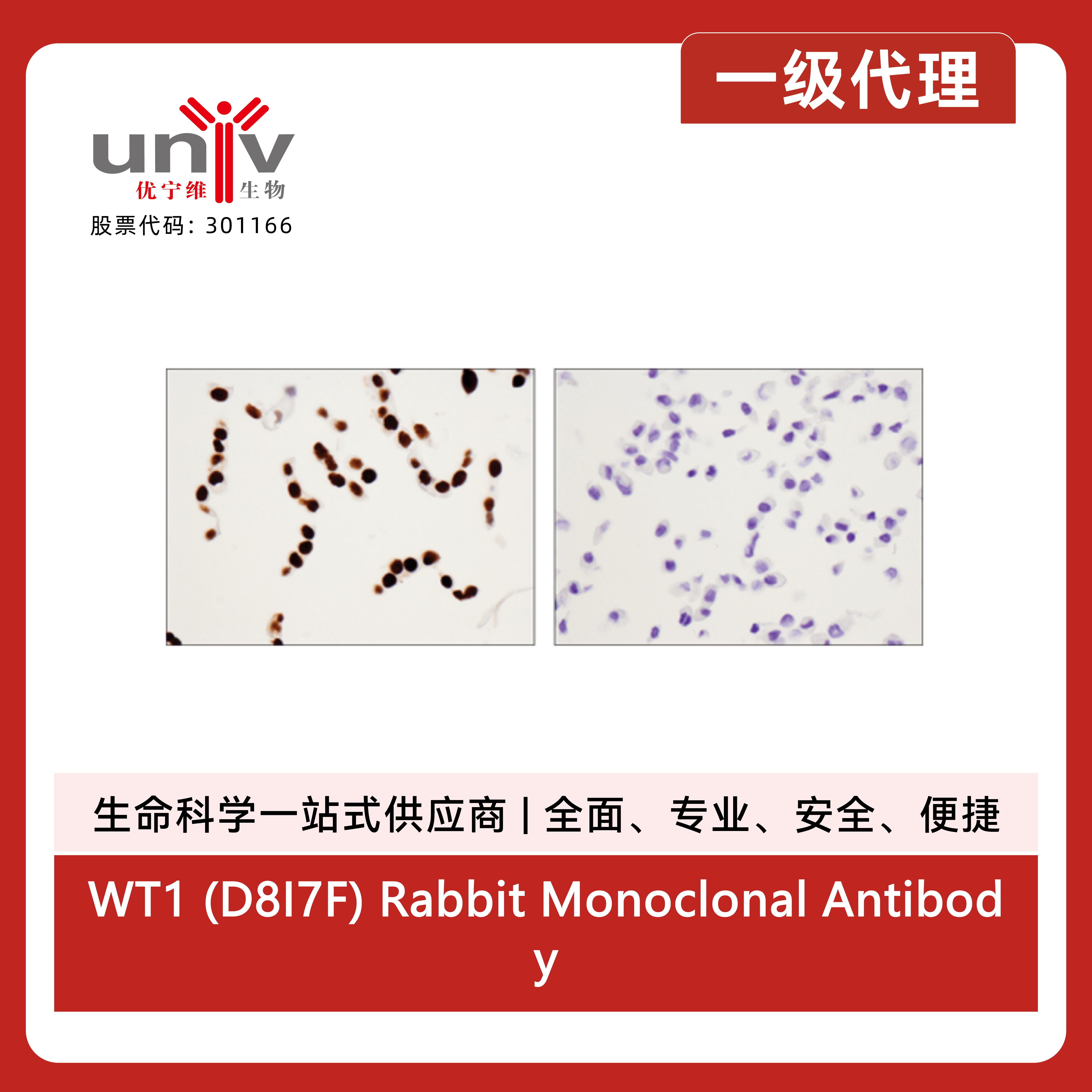 产品细节图片6
