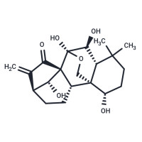 冬凌草甲素,28957-04-2,分析标准品, ≥98%,阿拉丁