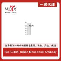 Ret (C31B4) Rabbit Monoclonal Antibody