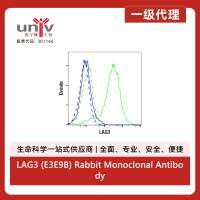 LAG3 (E3E9B) Rabbit Monoclonal Antibody
