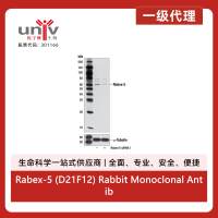 Rabex-5 (D21F12) Rabbit Monoclonal Antibody