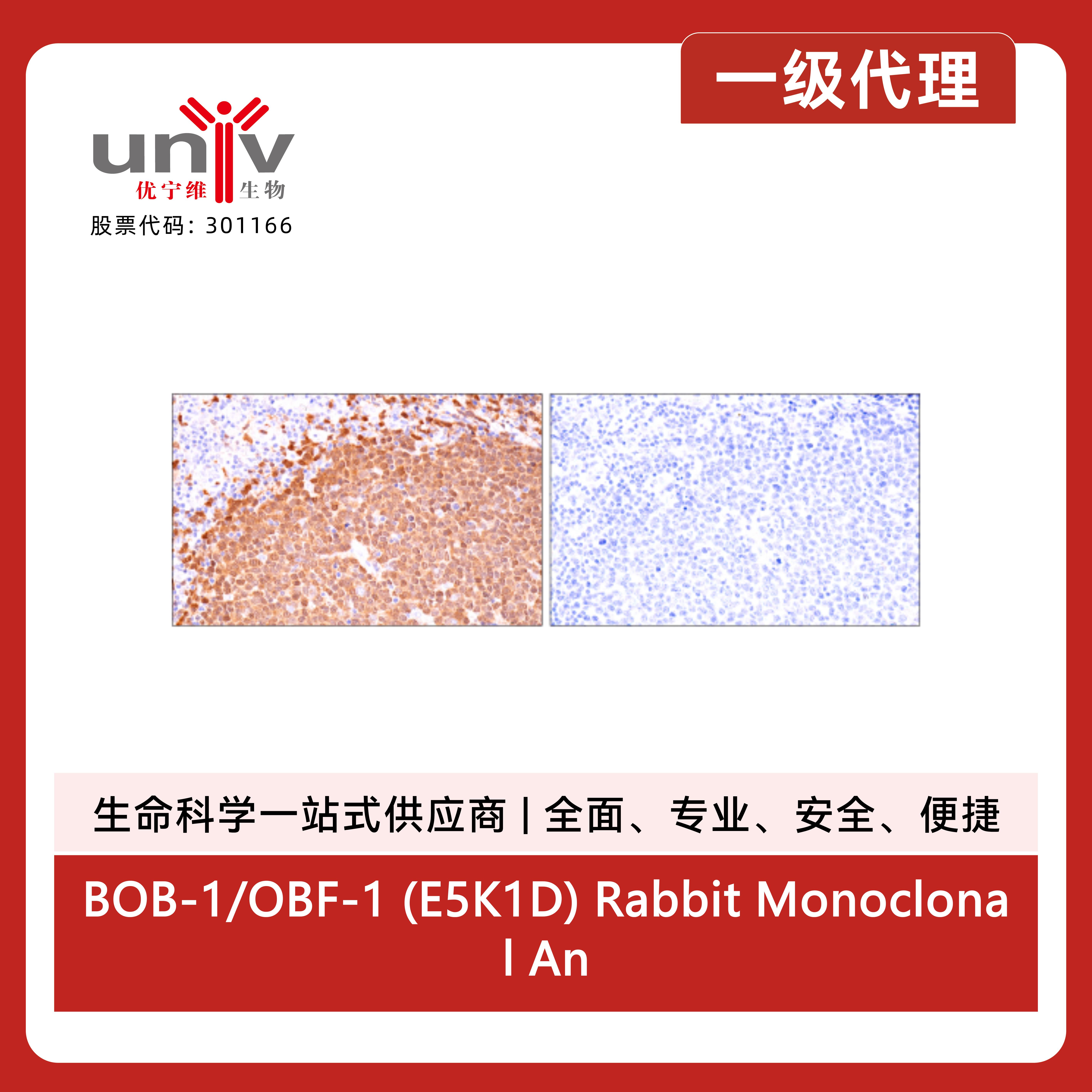 产品细节图片13