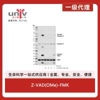 Z-VAD(OMe)-FMK