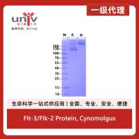 Flt-3/Flk-2 Protein, Cynomolgus