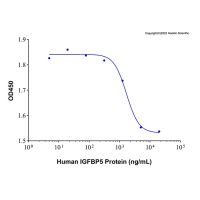 Recombinant Human IGFBP5 Protein，无动物源, 无载体, 生物活性, ActiBioPure™, 高性能, His标签, ≥90%(SDS-PAGE), expressed in HEK293; 见COA，阿拉丁
