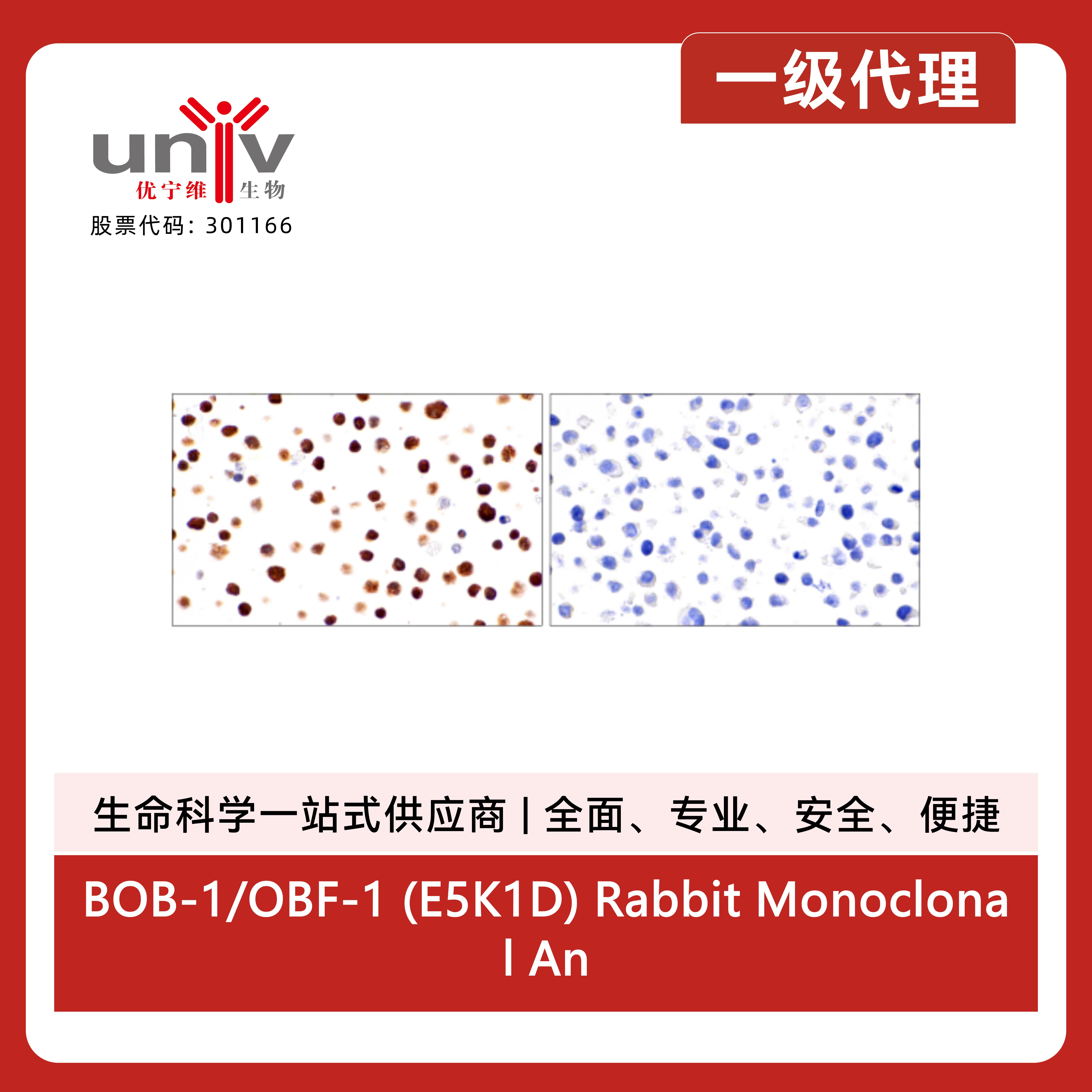 产品细节图片14