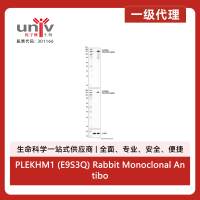 PLEKHM1 (E9S3Q) Rabbit Monoclonal Antibody