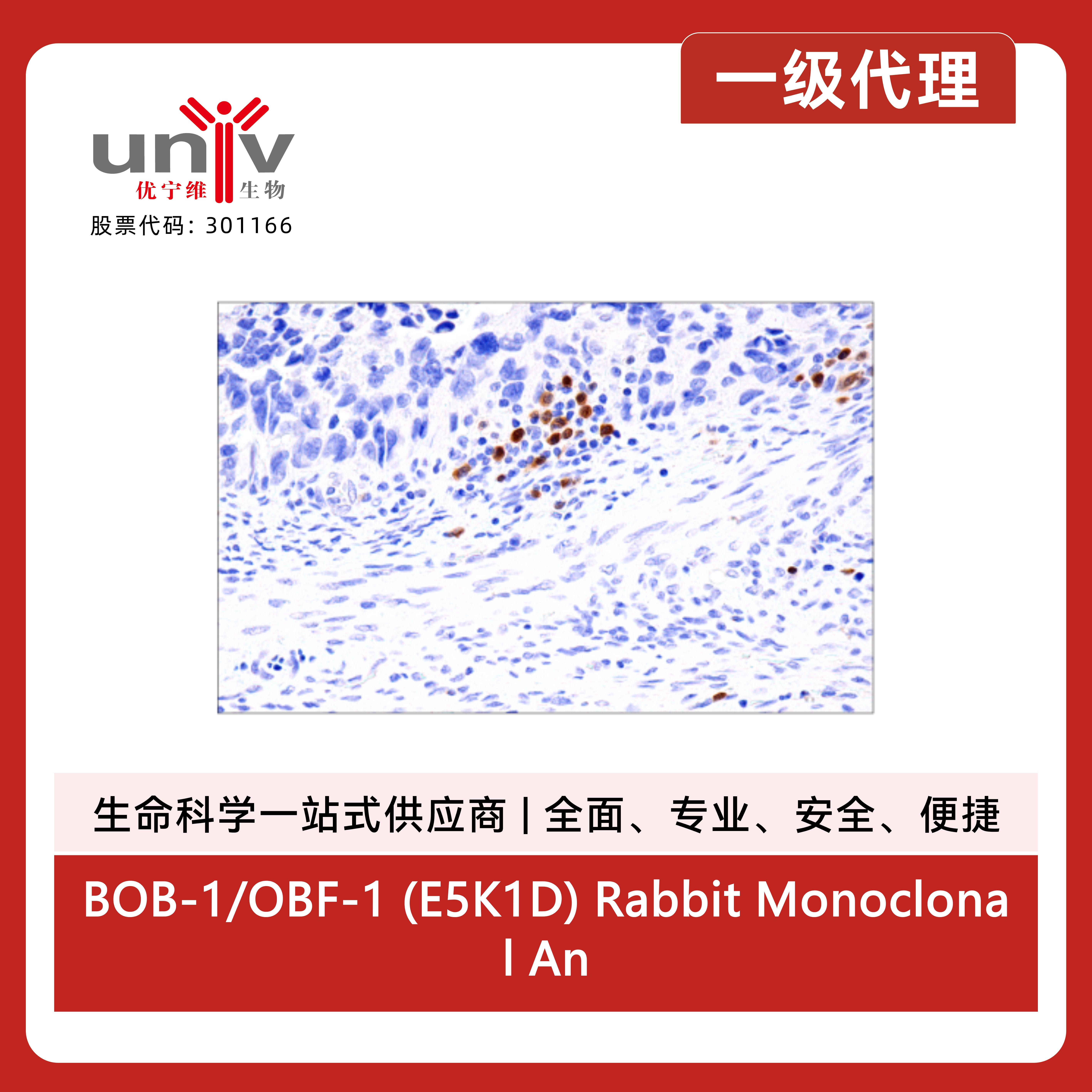 产品细节图片11