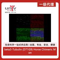beta3-Tubulin (D71G9) Horse Chimeric Monoclonal Antibody