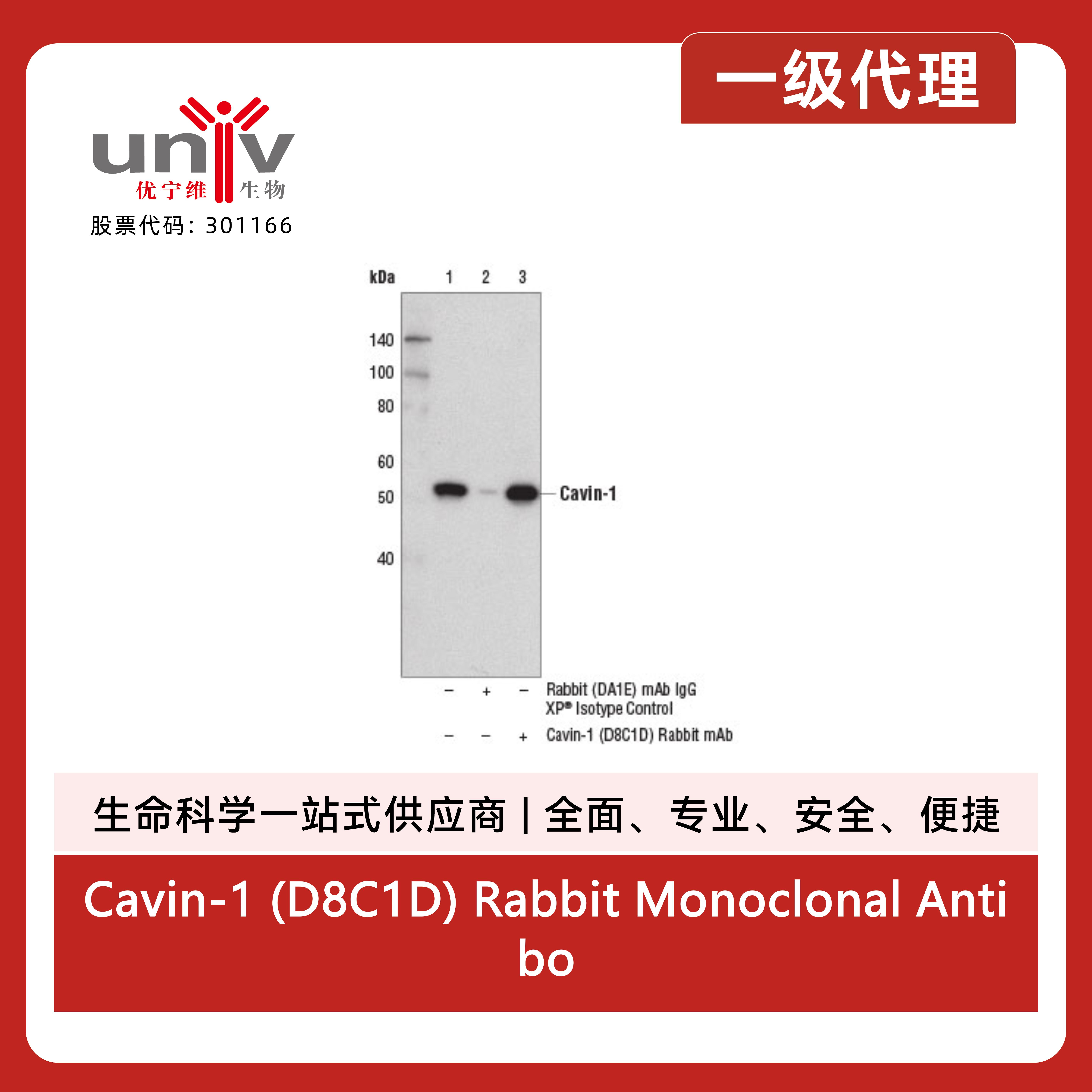产品细节图片2