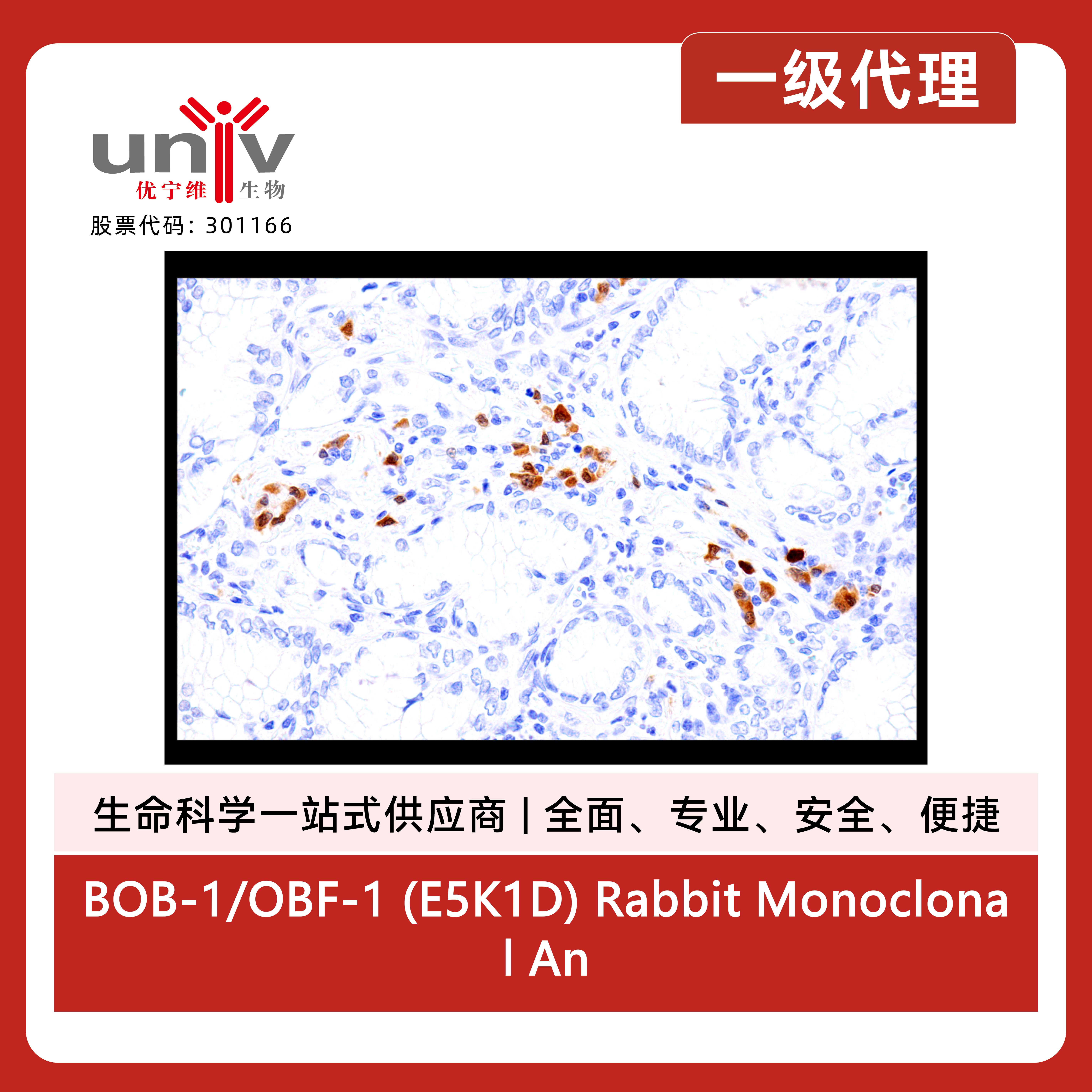 产品细节图片6