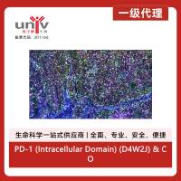 PD-1 (Intracellular Domain) (D4W2J) & CO-0008-647 SignalStar™ Oligo-Antibody Pair