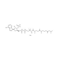 异戊酰辅酶A(钠盐)，6244-91-3，EnzymoPure™, ≥95%，阿拉丁