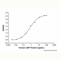 Recombinant Human LBP Protein，无动物源,无载体,生物活性,ActiBioPure™,高性能,His标签,≥95%(SDS-PAGE)，阿拉丁