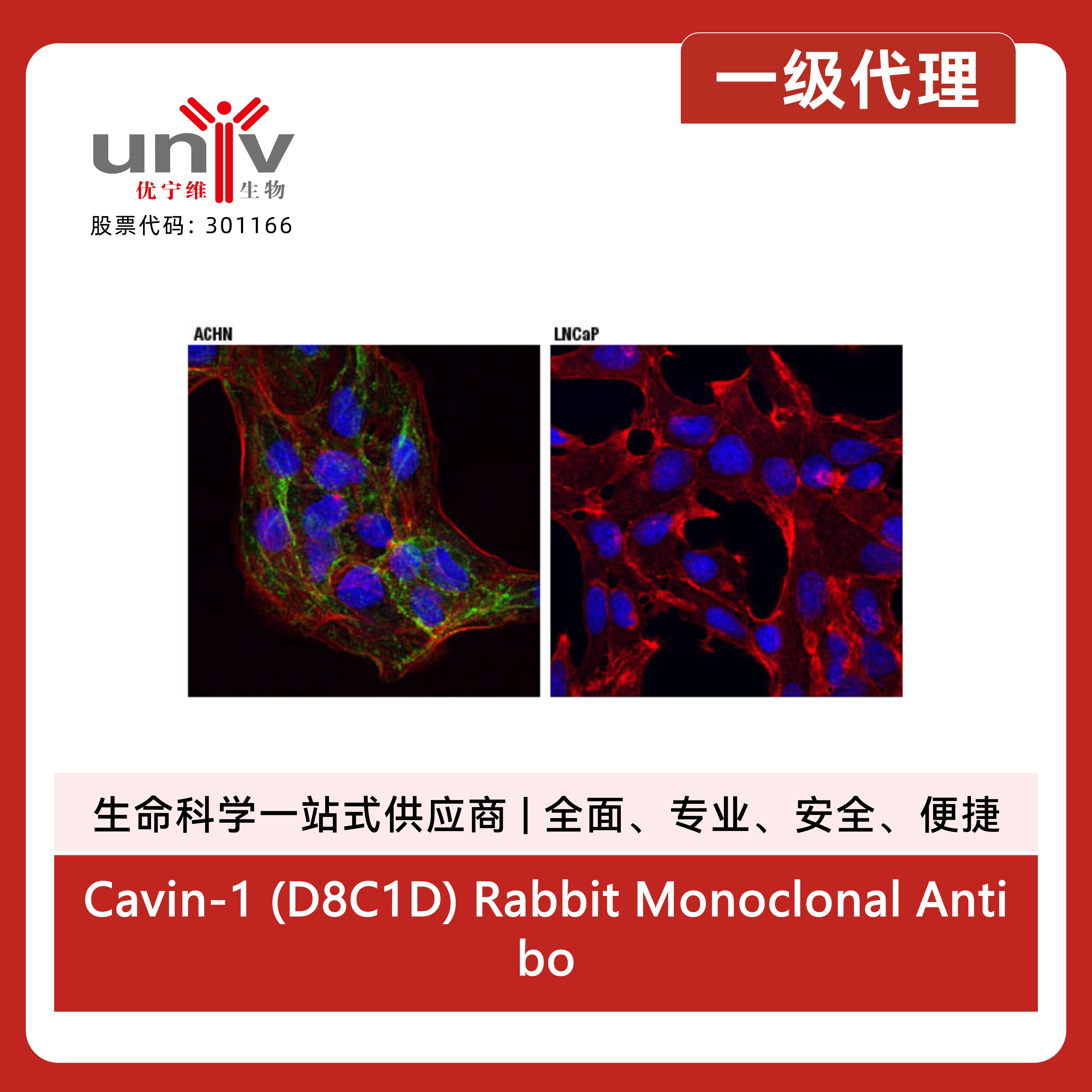 产品细节图片3