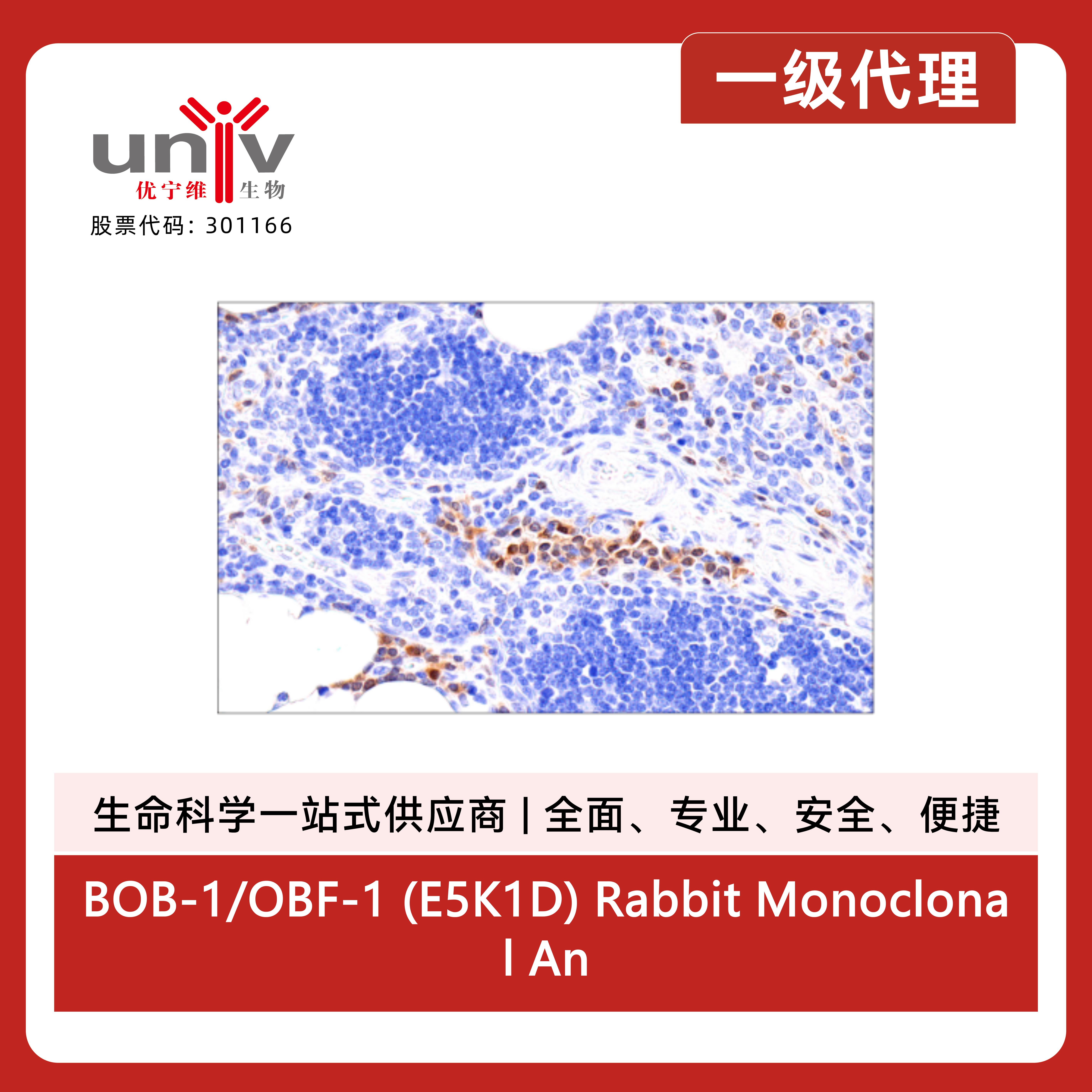 产品细节图片10