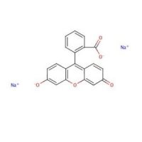 荧光素钠,518-47-8,AR,阿拉丁