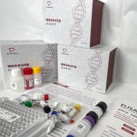 兔(Rabbit)胶原酶I(Collagenase I)ELISA检测试剂盒