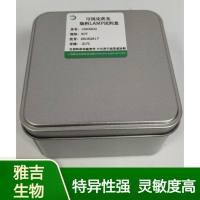 2(2)人类嗜淋巴细胞病毒2型可视化荧光染料LAMP试剂盒